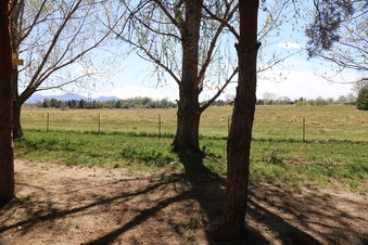 Enlarge photo 105