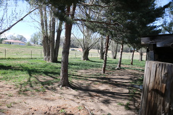 Enlarge photo 106