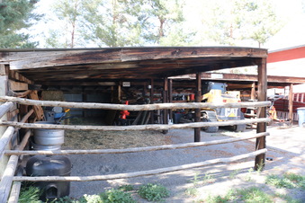 Enlarge photo 107