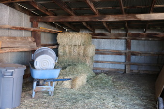 Enlarge photo 110