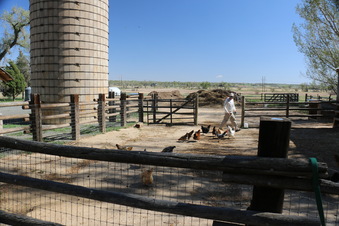 Enlarge photo 118