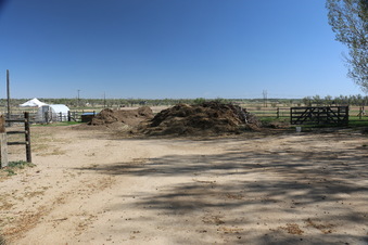 Enlarge photo 127