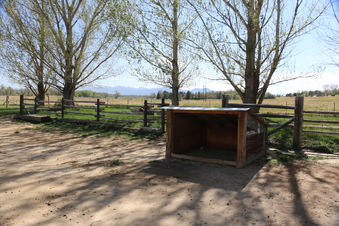 Enlarge photo 128