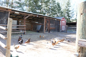 Enlarge photo 129