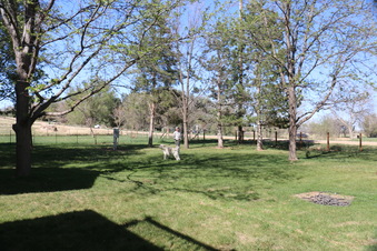 Enlarge photo 158