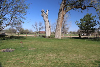 Enlarge photo 159