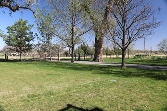 Enlarge photo 160