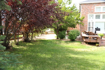 Enlarge photo 27