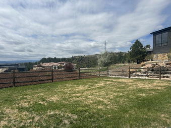 Enlarge photo 52