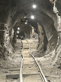 EDGAR MINE