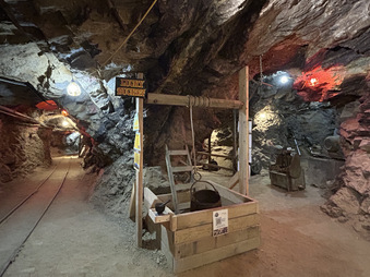PHOENIX GOLD MINE