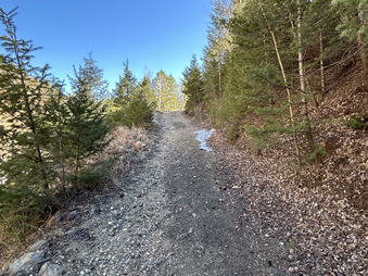 Enlarge photo 113