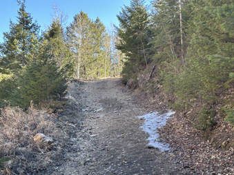 Enlarge photo 114