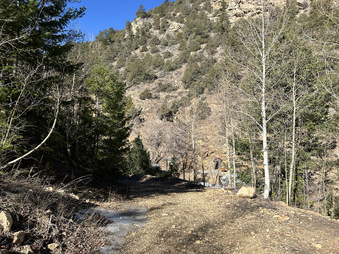Enlarge photo 116
