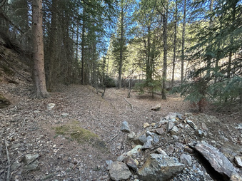 Enlarge photo 214