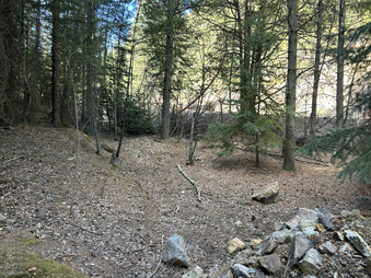 Enlarge photo 215