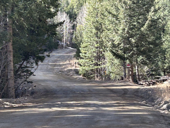 Enlarge photo 217