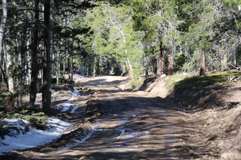 Enlarge photo 157