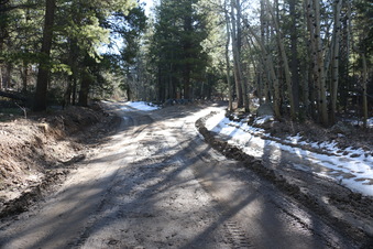 Enlarge photo 159