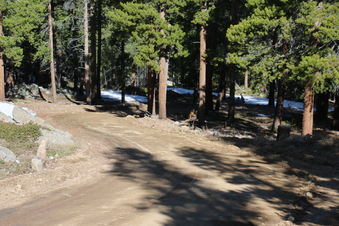 Enlarge photo 162