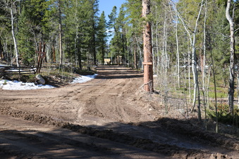 Enlarge photo 173