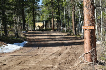 Enlarge photo 174