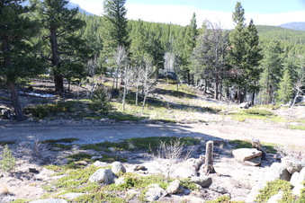 Enlarge photo 209