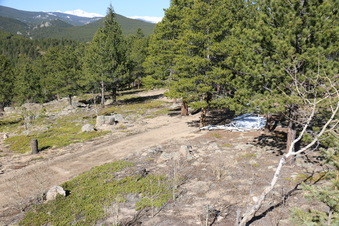 Enlarge photo 211