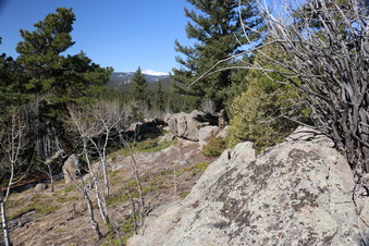 Enlarge photo 240