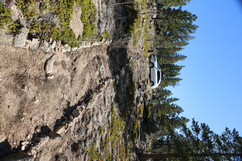 Enlarge photo 250