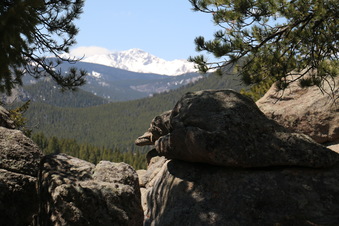 Enlarge photo 259