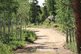 Enlarge photo 4