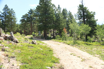 Enlarge photo 28