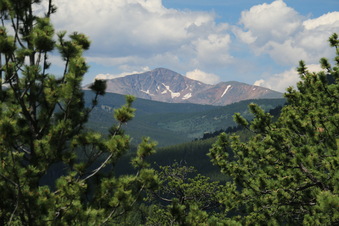 Enlarge photo 34