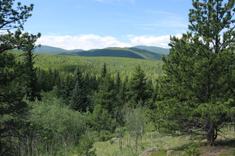 Enlarge photo 40