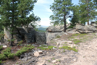 Enlarge photo 42