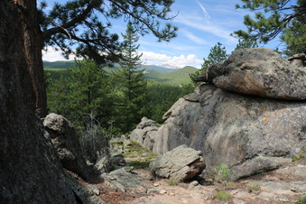 Enlarge photo 44