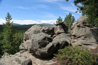 Enlarge photo 48