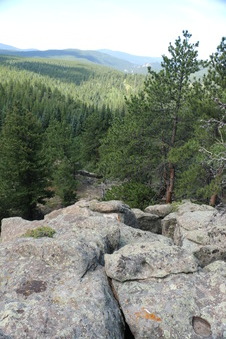 Enlarge photo 51