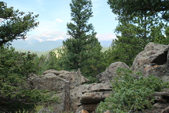 Enlarge photo 53