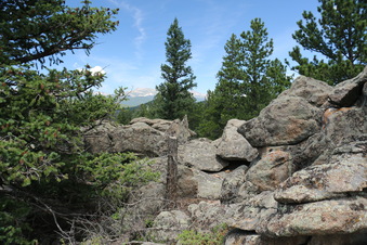 Enlarge photo 66
