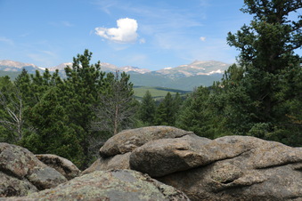 Enlarge photo 82