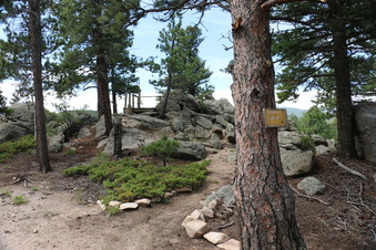 Enlarge photo 78