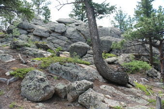 Enlarge photo 89