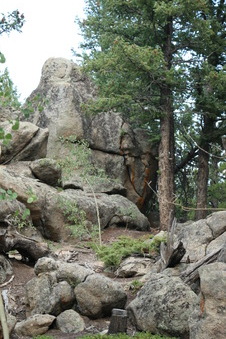 Enlarge photo 97