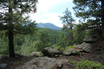 Enlarge photo 103
