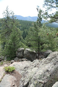 Enlarge photo 109