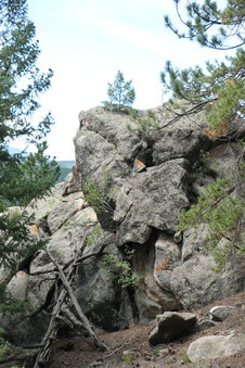 Enlarge photo 111