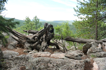 Enlarge photo 113