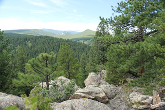 Enlarge photo 115